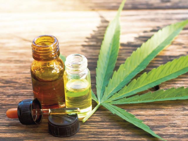 Santa Fe comenzó con la plantación de cannabis medicinal