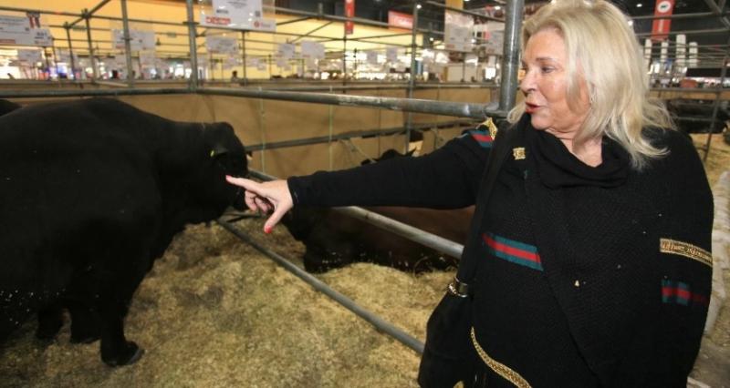 Reapareció Elisa Carrió y disparó munición gruesa contra el Frente de Todos