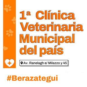 Publicidad 3