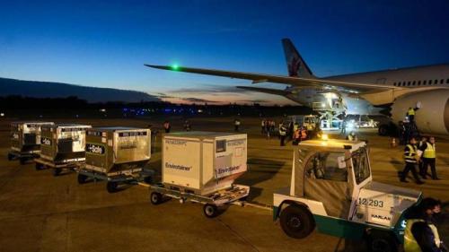 Esta semana llegarán a la Argentina casi 5 millones de dosis de vacunas