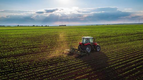 El campo va al paro